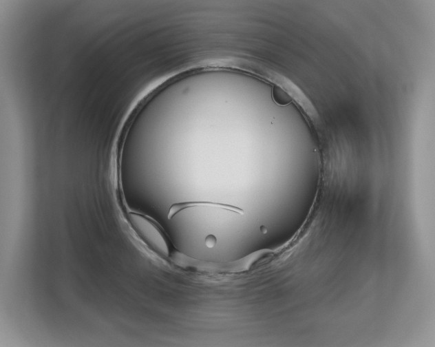 X0000112801036200908211129