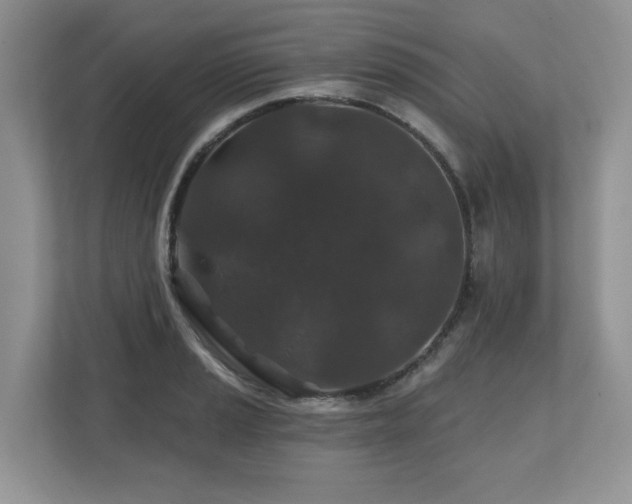 X0000112801037200908211129