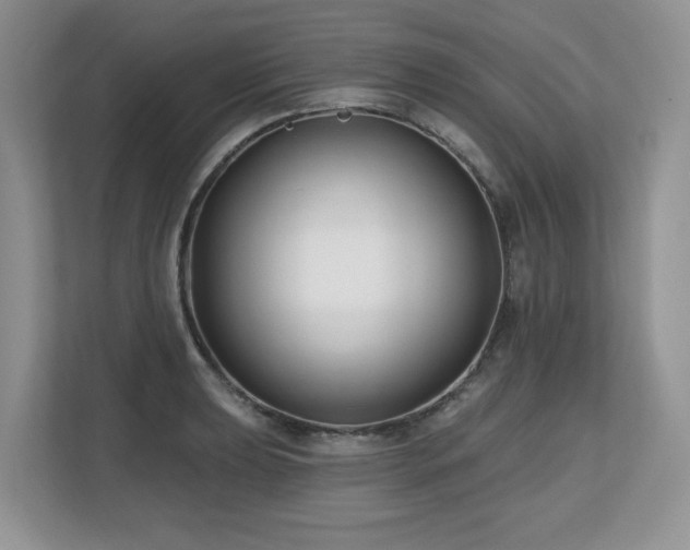 X0000112801039200908211129