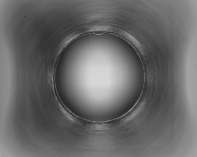 X0000112801041200908211129