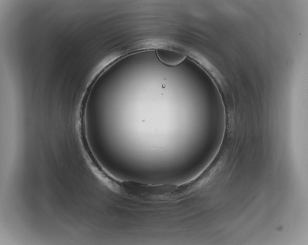 X0000112801042200908211129