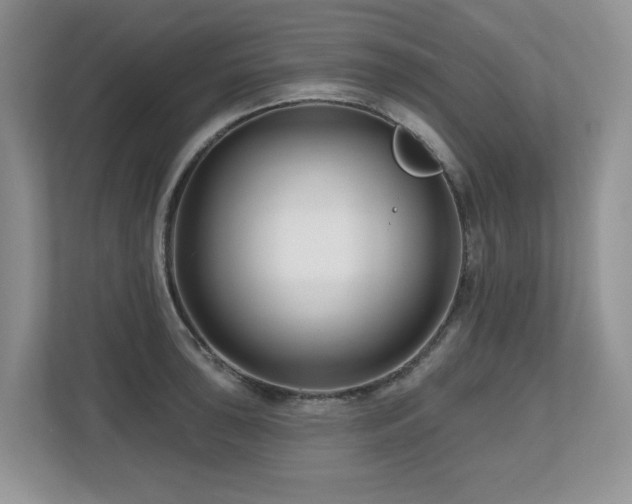 X0000112801043200908211129