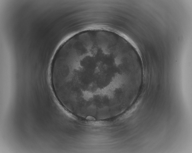X0000112801045200908211129