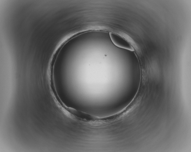 X0000112801046200908211129