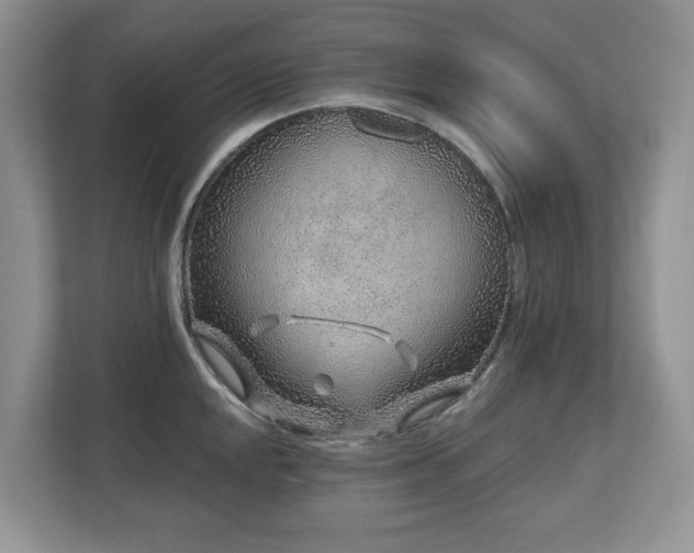 X0000112801048200908211129