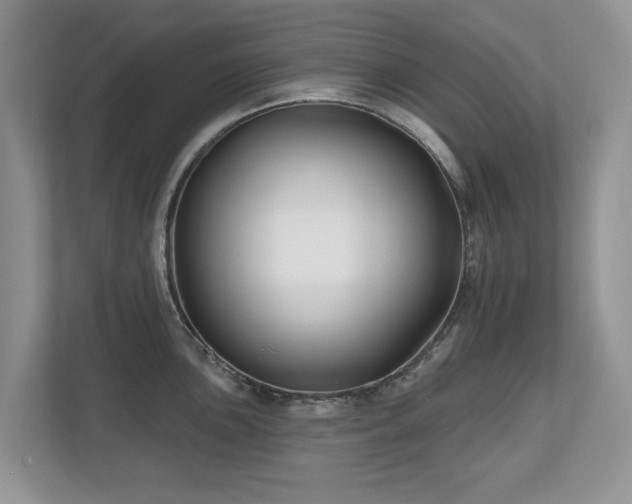 X0000112801051200908211129