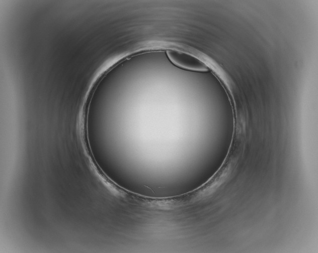 X0000112801053200908211129