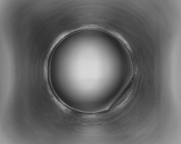 X0000112801054200908211129