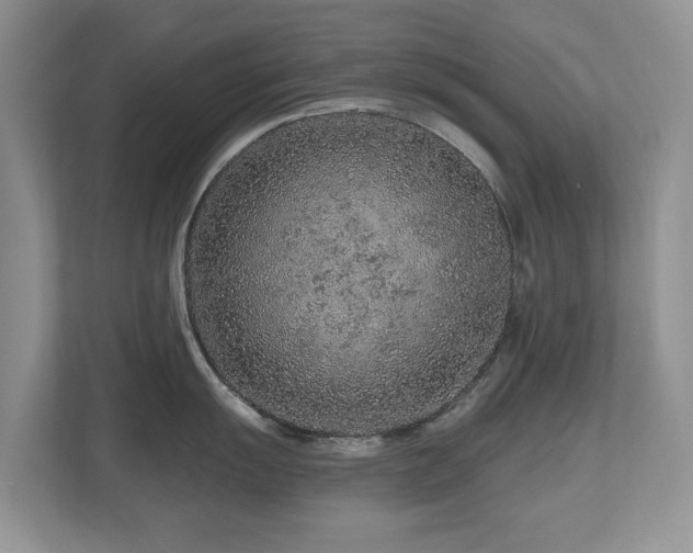 X0000112801055200908211129