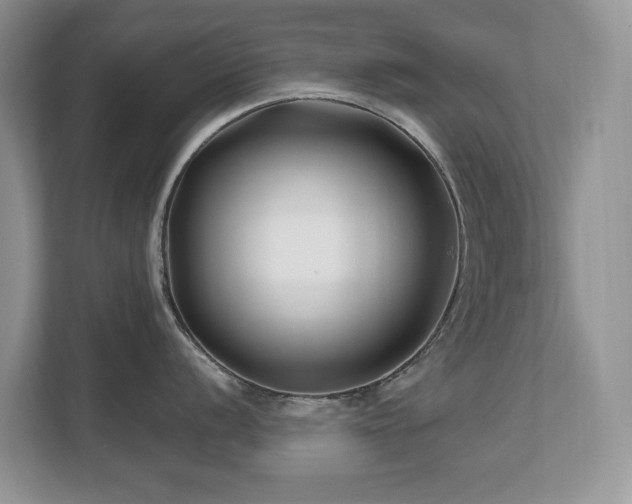 X0000112801056200908211129