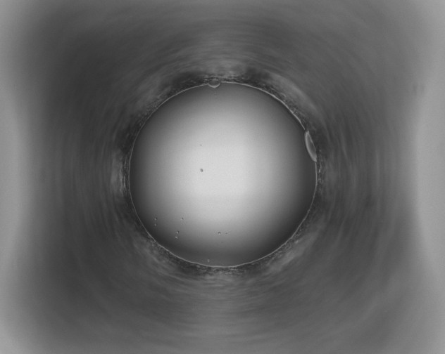 X0000112801058200908211129