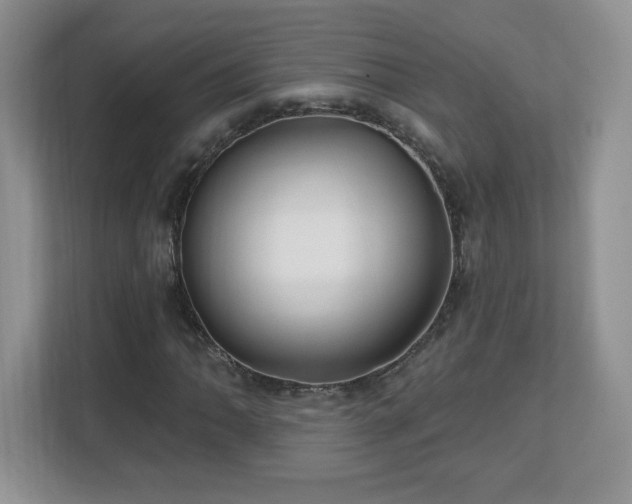 X0000112801062200908211129