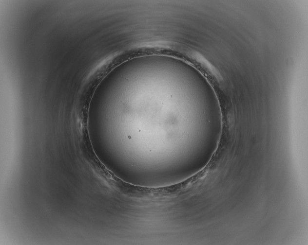 X0000112801064200908211129