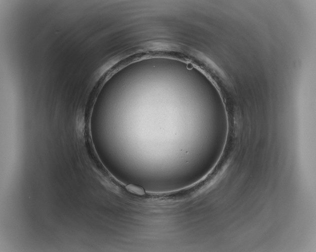 X0000112801065200908211129