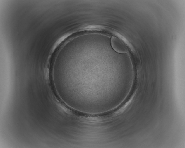 X0000112801066200908211129