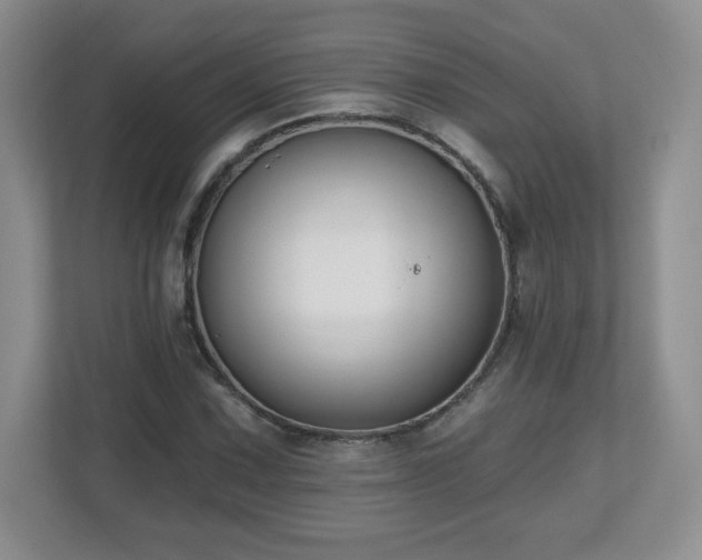 X0000112801067200908211129
