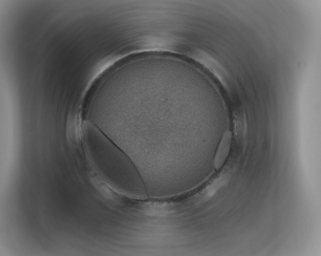 X0000112801069200908211129