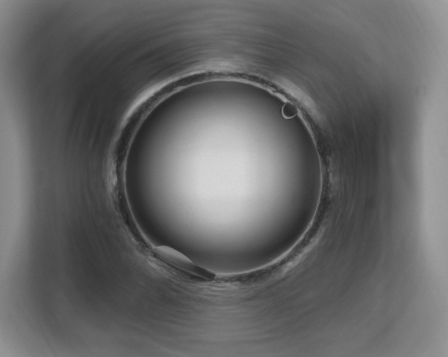 X0000112801070200908211129