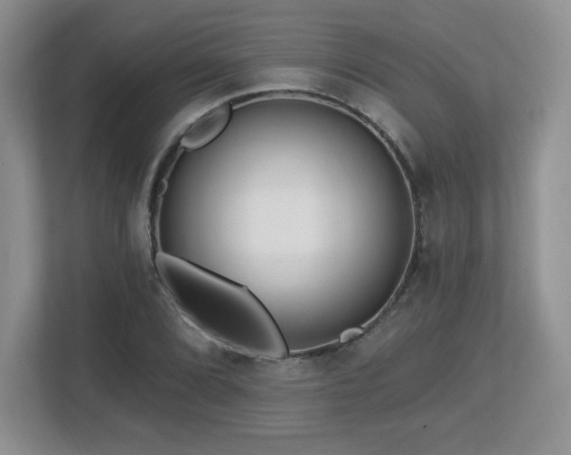 X0000112801072200908211129