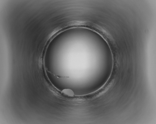 X0000112801073200908211129