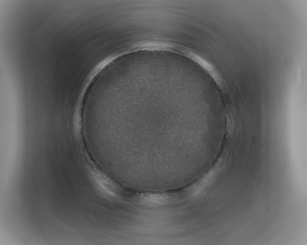 X0000112801074200908211129