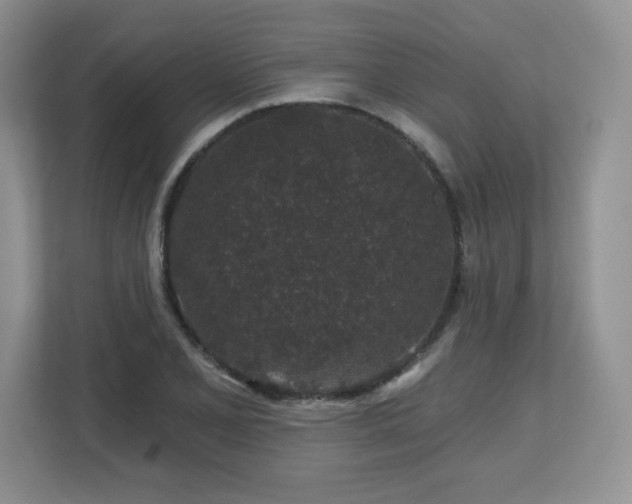 X0000112801077200908211129