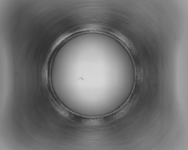 X0000112801078200908211129