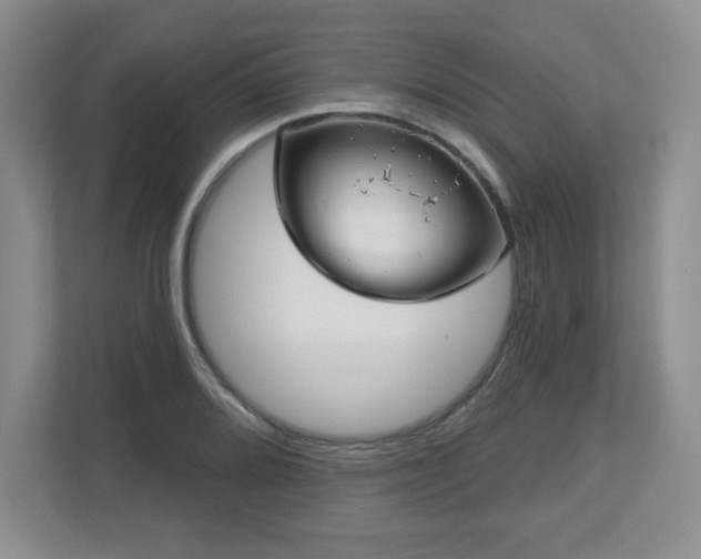 X0000112801080200908211129