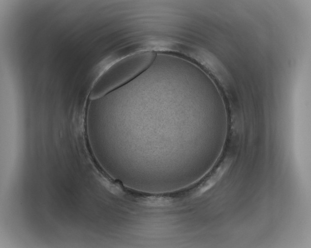 X0000112801081200908211129
