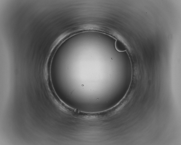 X0000112801082200908211129
