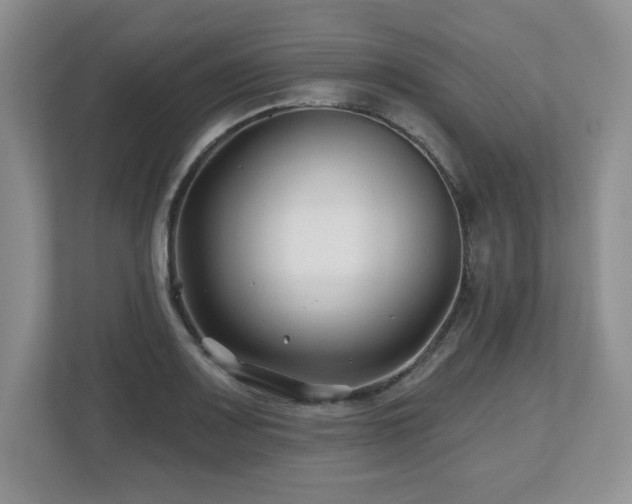 X0000112801083200908211129