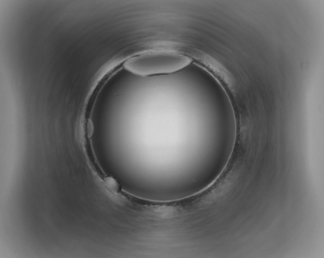 X0000112801085200908211128