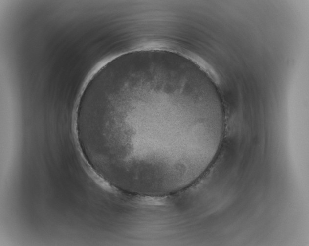 X0000112801086200908211128