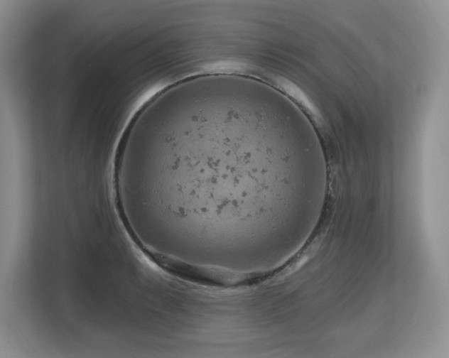 X0000112801087200908211128