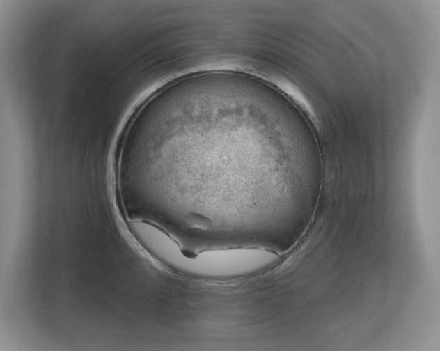 X0000112801088200908211128