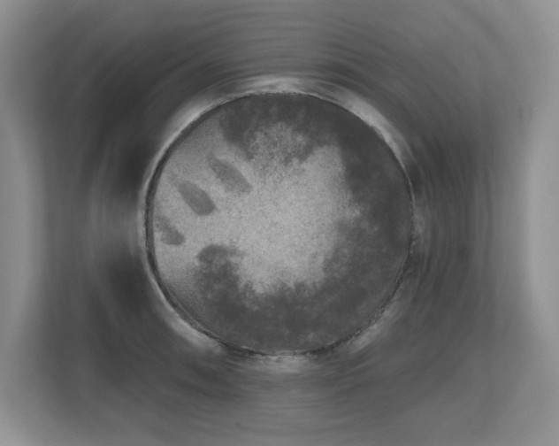 X0000112801090200908211128
