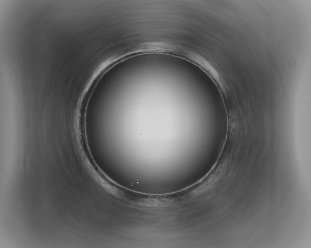 X0000112801091200908211128