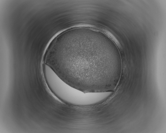 X0000112801092200908211128