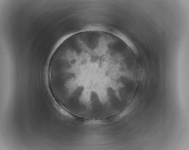 X0000112801094200908211128