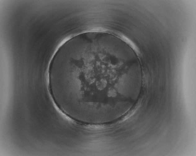 X0000112801095200908211128