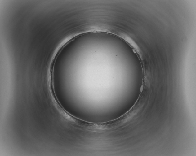X0000112801096200908211128