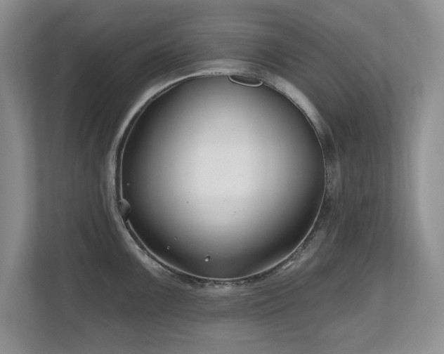 X0000112801099200908211128
