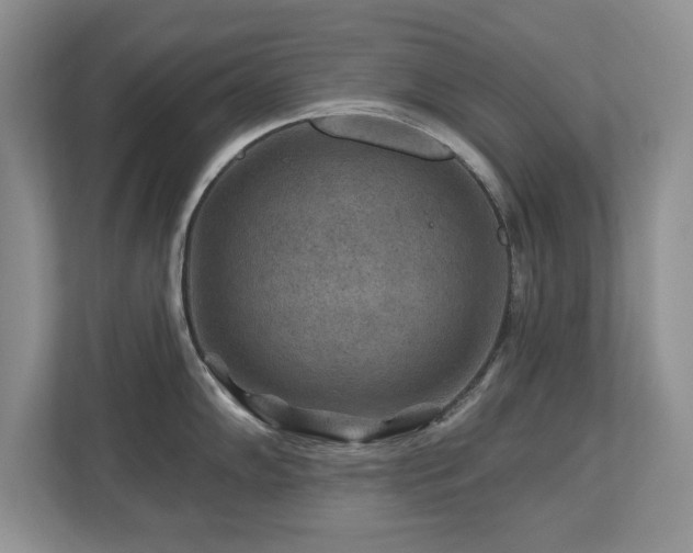 X0000112801102200908211128
