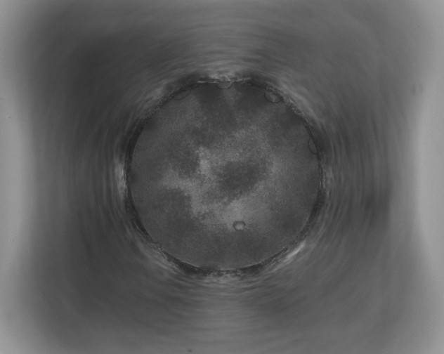X0000112801106200908211128