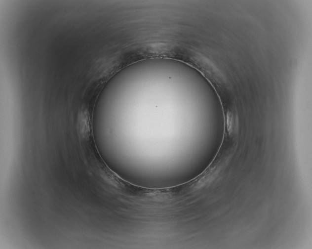 X0000112801107200908211128