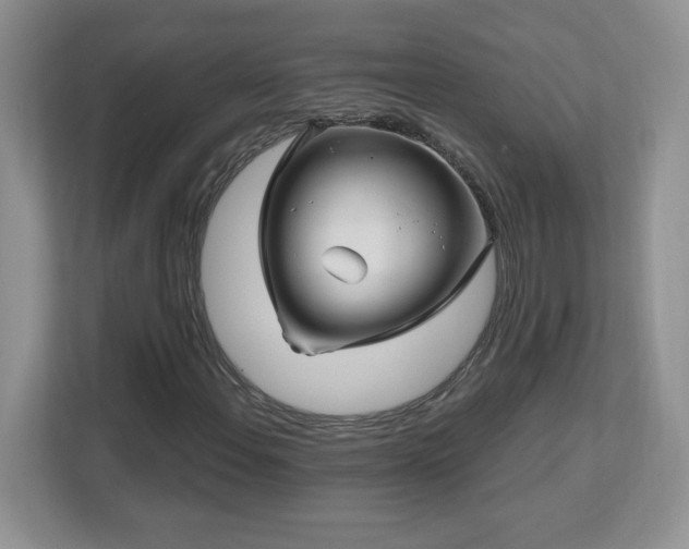 X0000112801108200908211128