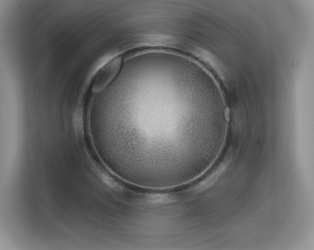 X0000112801114200908211128