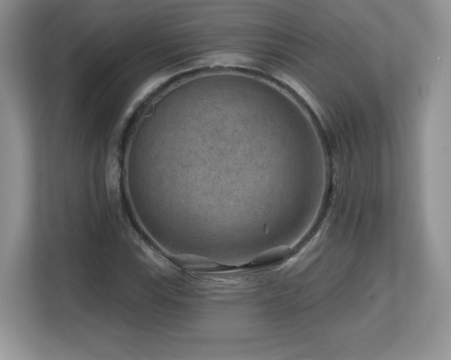 X0000112801115200908211128