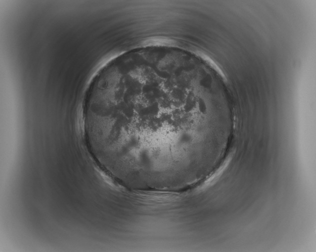 X0000112801117200908211128