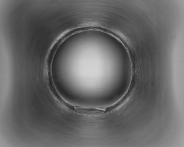 X0000112801118200908211128